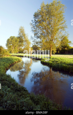 Cotswolds - Vallée de la rivière Coln St Aldwyns près de Coln Banque D'Images