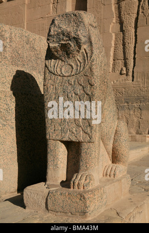 Statue de lion de granit à l'entrée du premier pylône du Temple d'Isis à Philae, bon maintenant sur l'Île Agilka en Egypte Banque D'Images