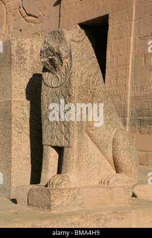 Statue de lion de granit à l'entrée du premier pylône du Temple d'Isis à Philae, bon maintenant sur l'Île Agilka en Egypte Banque D'Images