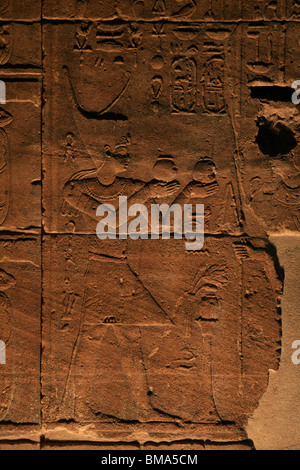 Détail d'un relief représentant le pharaon en faisant des offrandes à la déesse Hathor au Temple de Philae en Egypte Banque D'Images