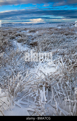 Le moorland Ardanaiseig en hiver Wales UK Banque D'Images