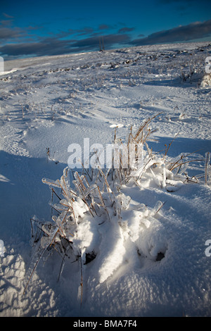 Le moorland Ardanaiseig en hiver Wales UK Banque D'Images