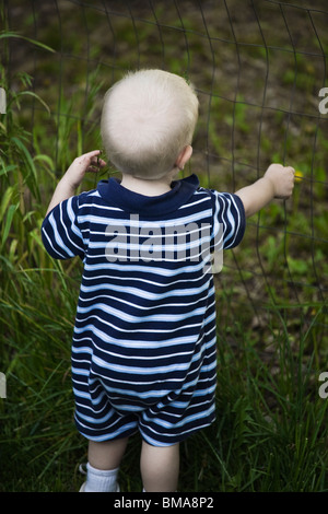 18 mois bébé garçon attrapant une clôture métallique. Banque D'Images