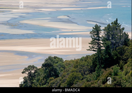 Vue panoramique de la falaise et de la plage, l'île du Sud, Nouvelle-Zélande Banque D'Images