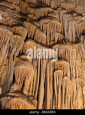 Formations (grotte) speleothem dans grande chambre, Parc National de Carlsbad Caverns, Nouveau-Mexique Banque D'Images