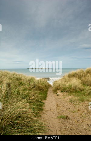 Vue de Coquet Island à travers les dunes à Druridge Bay, Northumberland, Angleterre. Banque D'Images