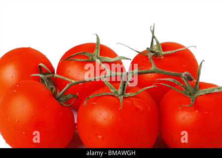 Tomates cerise mûre sur vine isolé sur fond blanc Banque D'Images