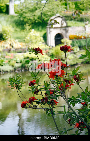 Un affichage floral avec de l'eau dans l'arrière-plan à la Dingle, Shrewsbury Banque D'Images