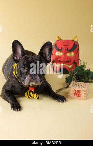 Bouledogue français chiot et Setsubun Banque D'Images