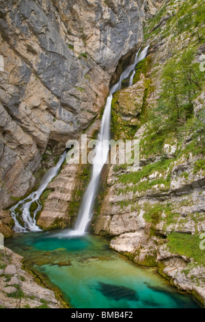 Cascade Savica est du lac Bohinj Slovénie Banque D'Images