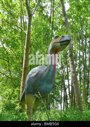 Diatryma (Diatryma), espèce de grand oiseau Banque D'Images