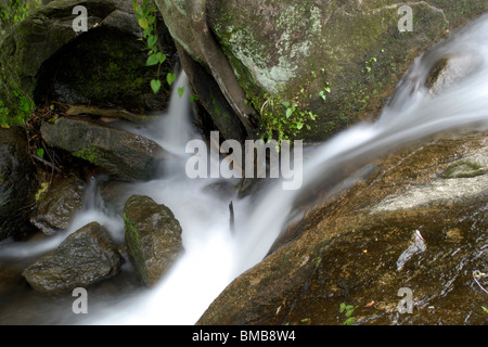 Olakkayam elanjippara de petit ruisseau Cascade de thrissur, Kerala, Inde, Asie Banque D'Images