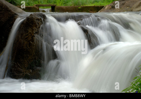 Olakkayam elanjippara de cascade cascade de thrissur, Kerala, Inde, Asie Banque D'Images