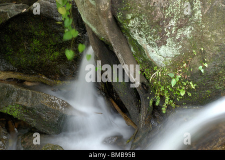 Olakkayam elanjippara de petit ruisseau Cascade de thrissur, Kerala, Inde, Asie Banque D'Images