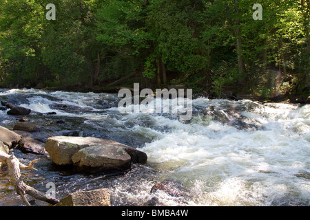 Haut de la Buttermilk Falls sur la rivière Raquette dans l'Adirondack State Park de New York. Banque D'Images