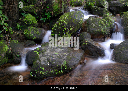 Olakkayam elanjippara de petit ruisseau Cascade de thrissur, Kerala, Inde, Asie Banque D'Images