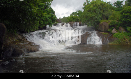 Olakkayam elanjippara,cascade de thrissur kerala,Inde,asia Banque D'Images