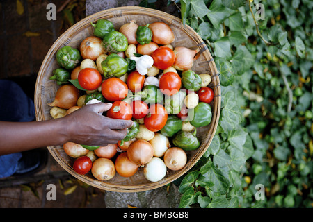 Main et bol de légumes Banque D'Images