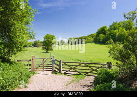 Gate en champ à Ranmore, Dorking, Surrey, UK Banque D'Images