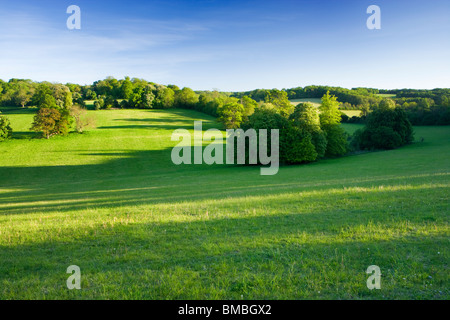 Terres agricoles à Ranmore, Dorking, Surrey, UK. Banque D'Images