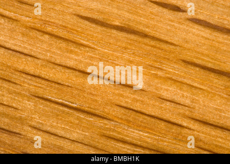 Bois de chêne à grains extreme close up. Banque D'Images