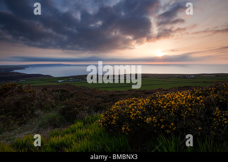 Coucher du soleil à partir de St.Agnes phare avec la floraison l'ajonc (Ulex europaeus) dans l'avant-plan. Banque D'Images