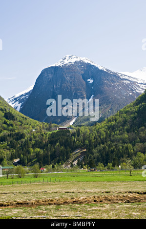 Le pic enneigé du Sauanipa avec montagne ci-dessous Ferme entourée de forêt de pins à Fjaerland Sogn Norvège Banque D'Images