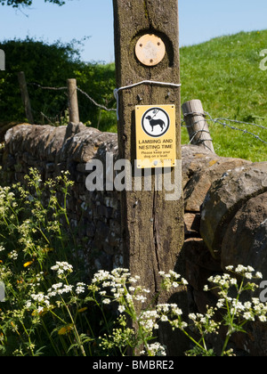 Un panneau d'avertissement pour les propriétaires de chiens à propos de l'agnelage et la nidification dans le Peak District, Derbyshire, Angleterre, Royaume-Uni Banque D'Images