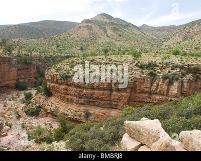 Tamgault Gorge Trail Atlas Maroc Banque D'Images