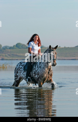 Ritt durchs Wasser / équitation à travers l'eau Banque D'Images