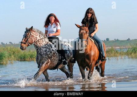 Ritt durchs Wasser / équitation à travers l'eau Banque D'Images