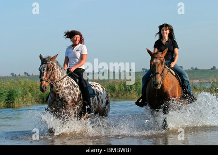 Ritt durchs Wasser / équitation à travers l'eau Banque D'Images