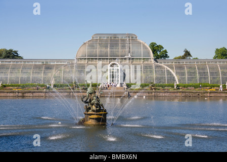 Palm House Kew Gardens Londres Angleterre Banque D'Images