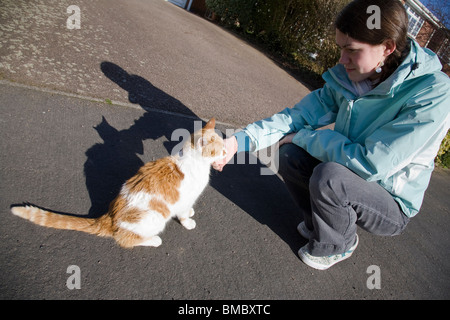 Une jeune fille se faire des amis avec un chat. Banque D'Images