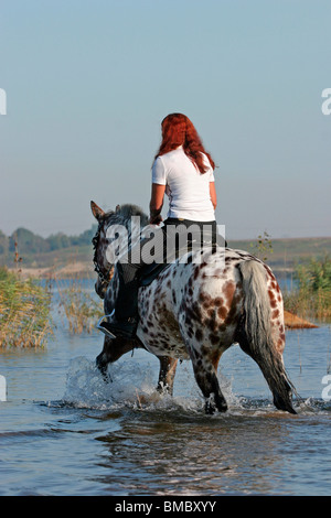 Ritt durchs Wasser / équitation à travers l'eau Banque D'Images