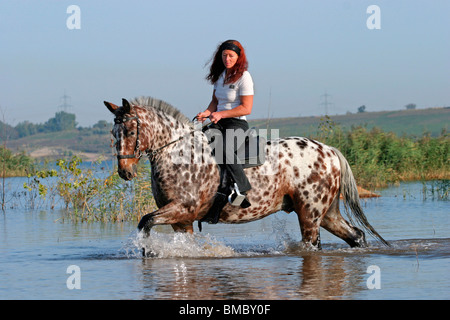 Ritt durchs Wasser / équitation à travers l'eau Banque D'Images