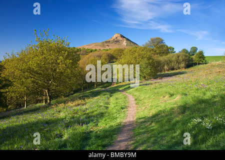 Roseberry Topping, une des collines de Cleveland, qu'on voit ici sur une bonne journée de printemps, près de Great Ayton, North Yorkshire, UK Banque D'Images