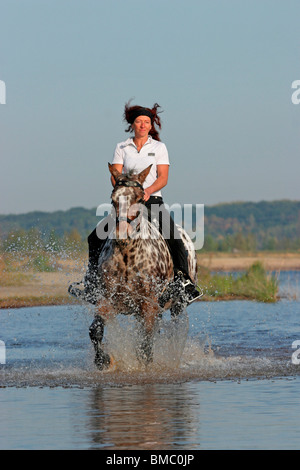 Ritt durchs Wasser / équitation à travers l'eau Banque D'Images