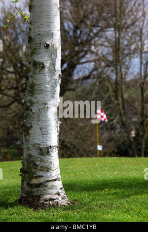 Le Club de Tytherington a été l'un des premiers du Royaume-Uni golf sur mesure et des clubs de santé et de conditionnement physique, ouvert en 1986 Banque D'Images