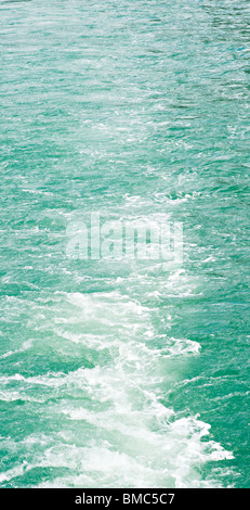 Le Service d'un Ferry sur Fjaerlandsfjord Fjaerland bidons jusqu'au livre vert de l'eau glaciaire Sogn Sogn Norvège Banque D'Images