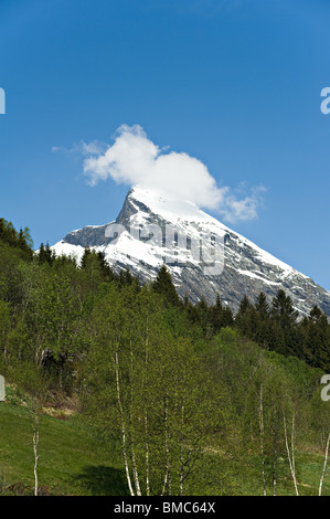 Un livre blanc Clod plane sur la neige a couvert Blanipa avec Montagne Forêt de pins de Norvège Norvège Sogn Fjaerland Banque D'Images