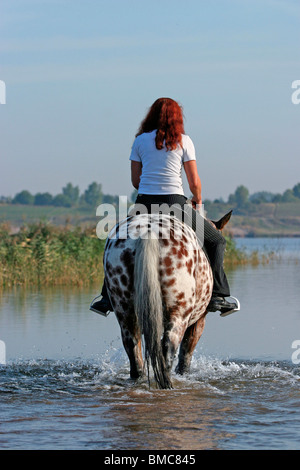 Ritt durchs Wasser / équitation à travers l'eau Banque D'Images