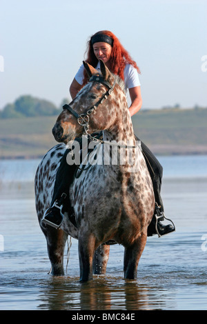 Ritt durchs Wasser / équitation à travers l'eau Banque D'Images