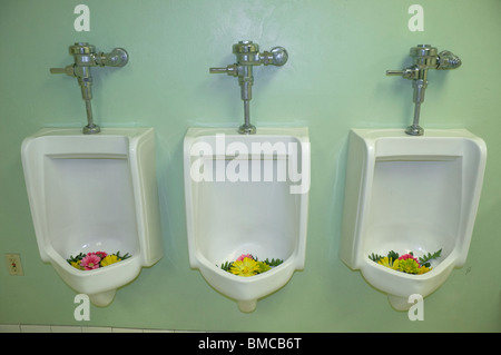 Les femmes prennent plus de salle de bains des hommes et d'installer des urinoirs en fleurs Banque D'Images