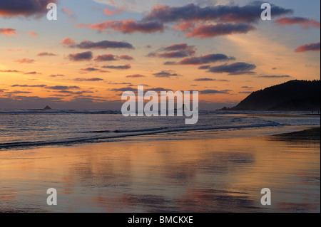 Parc d'état d'Ecola, vue de Cannon Beach, comté de Clatsop, Oregon, USA Banque D'Images