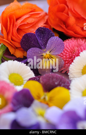 Horned pensées (viola cornuta), Daisy (commune) Bellis perennis et turban (Ranunculus asiaticus 'gambit mix'), fleurs coupées sur une plaque Banque D'Images