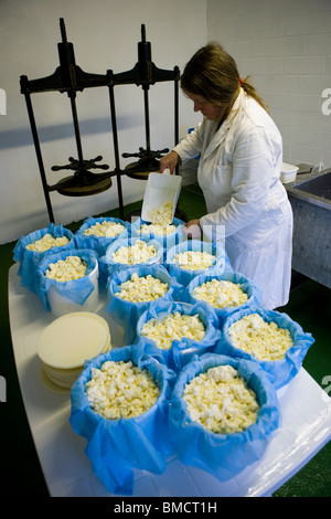 Jennie fromager traditionnel Irlande Simple et Double Gloucester fromages. Standish Park Farm. Oxlynch. Le Gloucestershire. United Kingdom. Banque D'Images