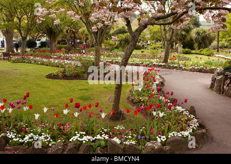 Royaume-uni, Angleterre, Devon, Dartmouth, avenue Royal Gardens Banque D'Images