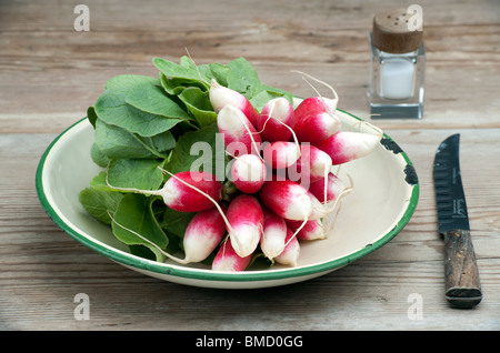 Une bande de Petit-déjeuner français Frais Radis dans un plat en émail, avec un couteau et de sel Pot sur une table de cuisine en bois Banque D'Images