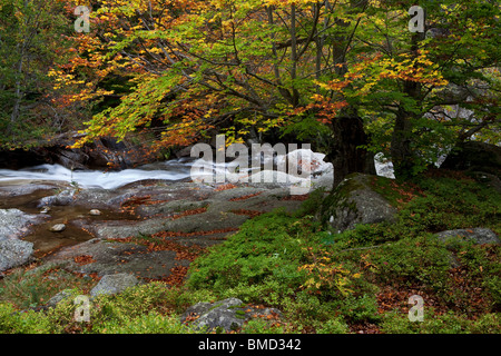 Salenques valley, Parc Naturel de Posets-Maladeta, Huesca, Espagne Banque D'Images